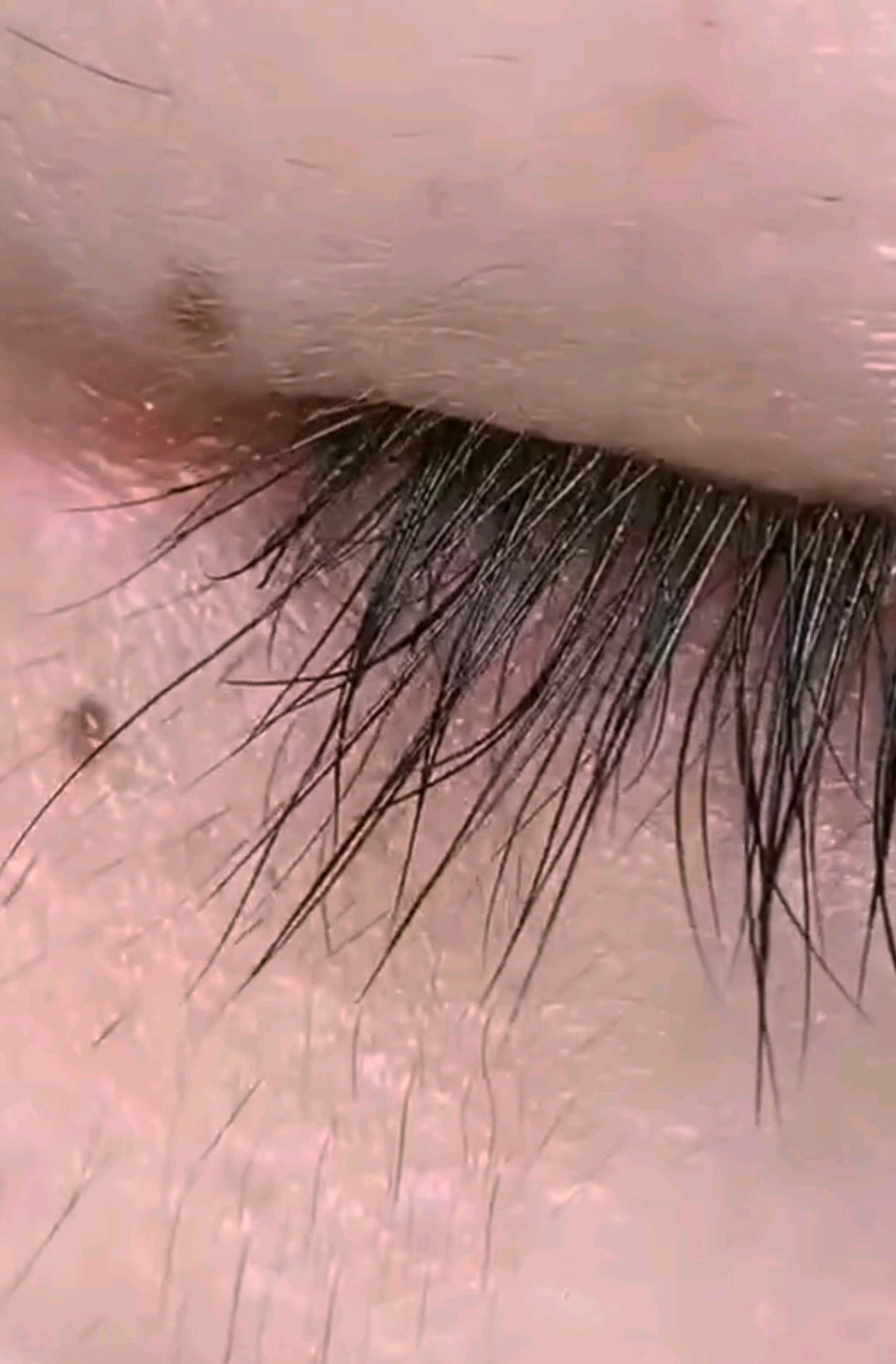 弄的脸上都是毛了,图哪里长哪里,看怎么办