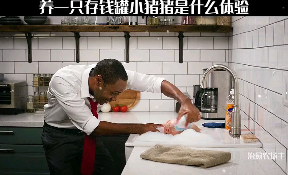 可爱#养一只存钱罐小猪猪是什么体验