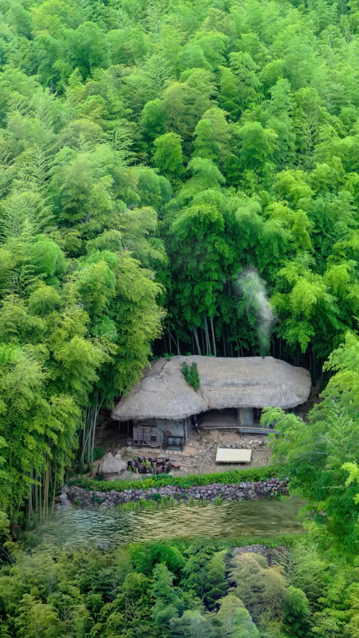 春天开的花#竹林草屋为家,远离尘世繁华,忙时修篱种花,闲时小酒清茶!