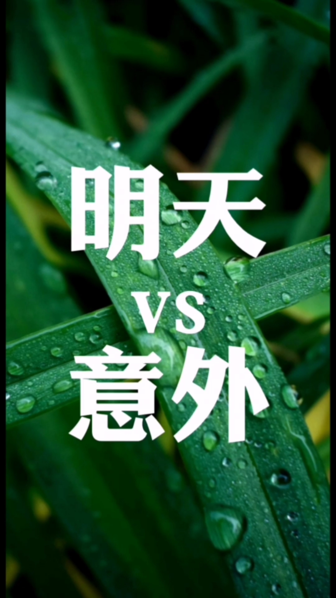 感恩有你虽然不知道明天和意外哪个先来但我已经做好了一切准备迎接