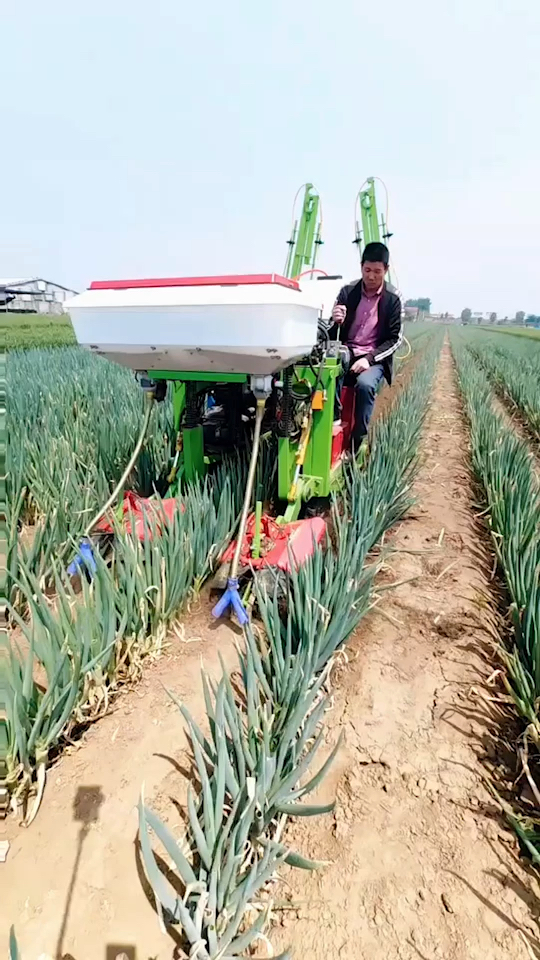 大葱双行培土机#大葱双行培土机,一台机器可以完成开沟培土施肥打药