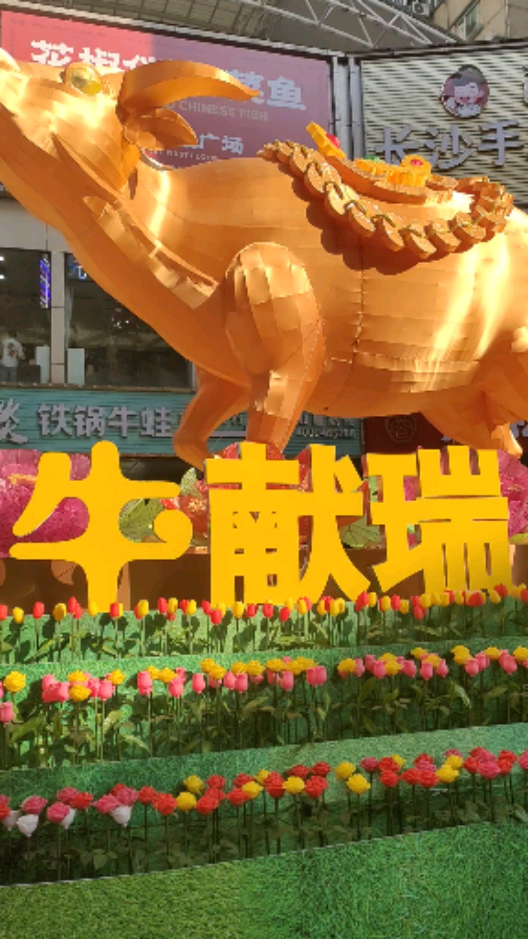 嗨皮牛year#每天笑一笑烦恼没有了,每天愁一愁皱纹爬上头.