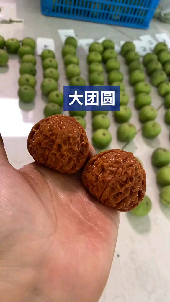 文玩核桃#大团圆狮子头