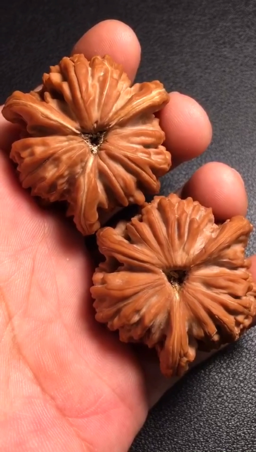 文玩核桃#看看这底,就知道好不好