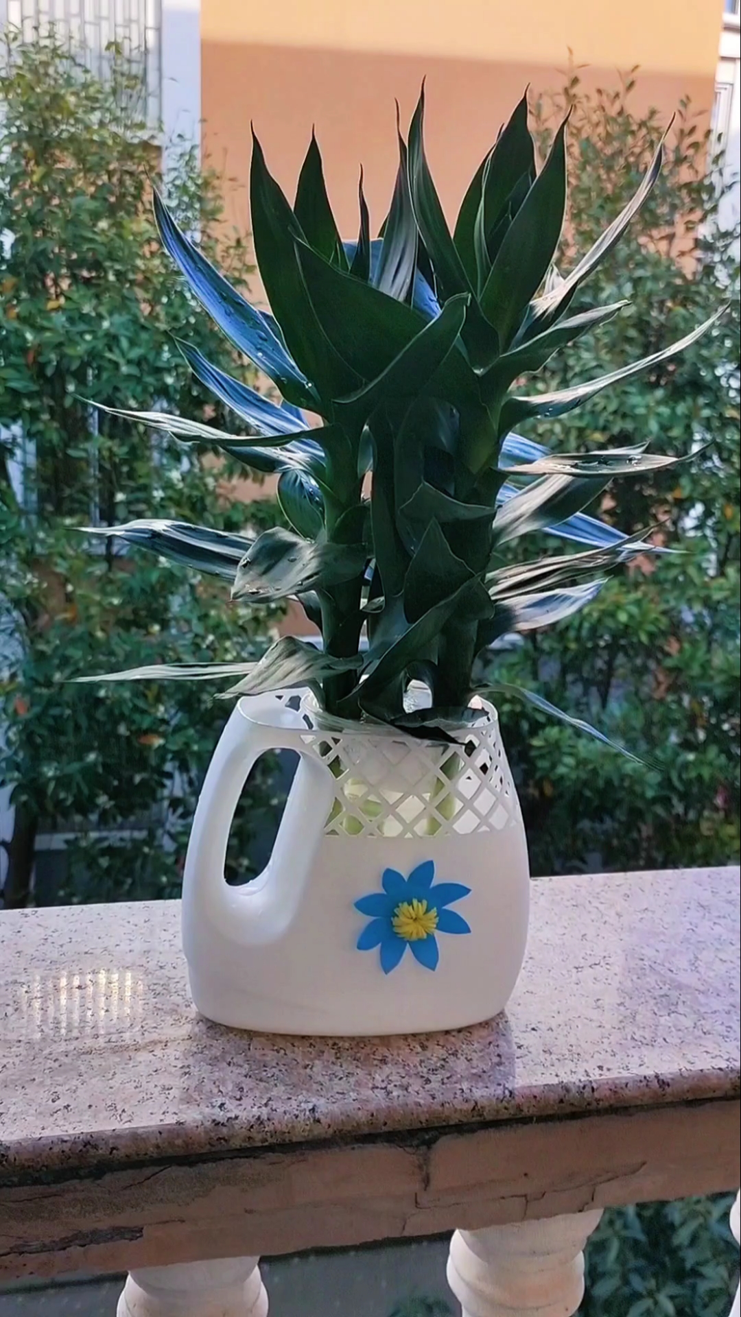 手工花盆雕刻#洗衣液瓶做插花器,养富贵竹,观音竹,简单优雅实用,适合