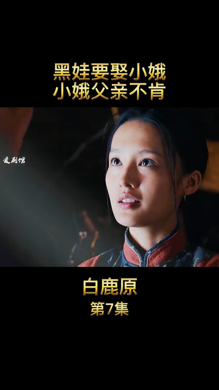 好看电影黑娃想光明正大的娶小娥