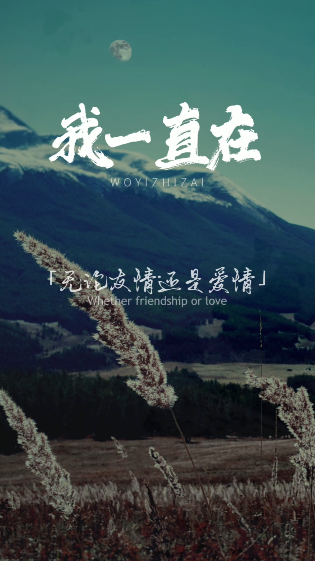 情感故事#我一直都在,如果有一天,不管是友情还是爱情,我一直都在