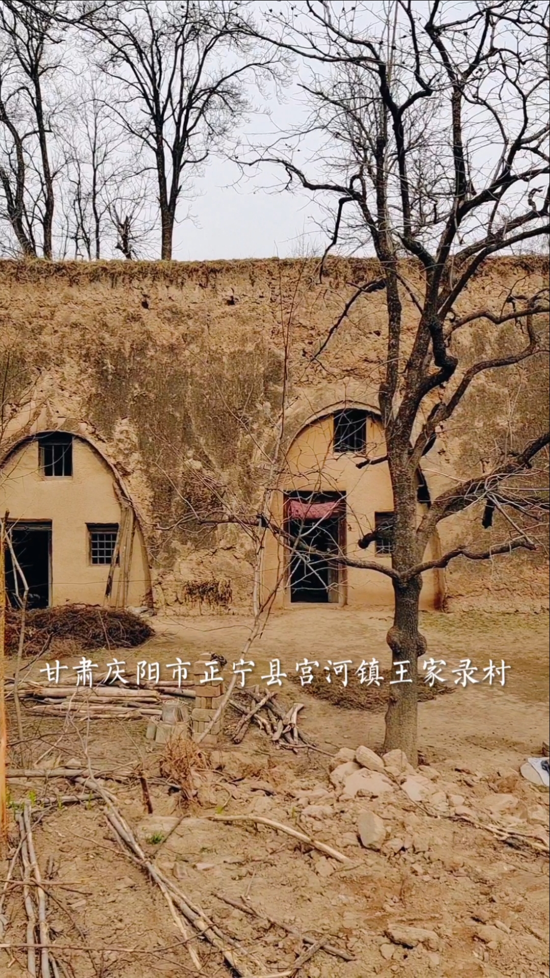 甘肃庆阳农村房子图片