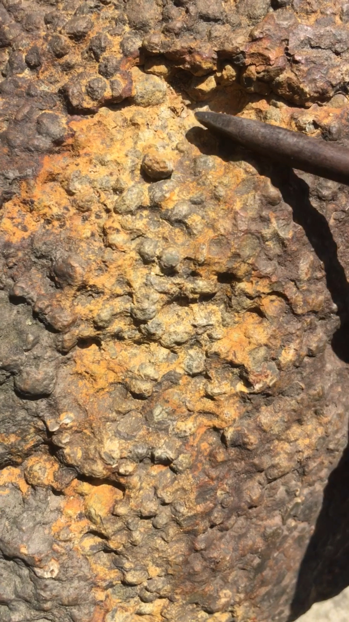 晒晒我的一天#风化了的3毫米大球粒陨石!