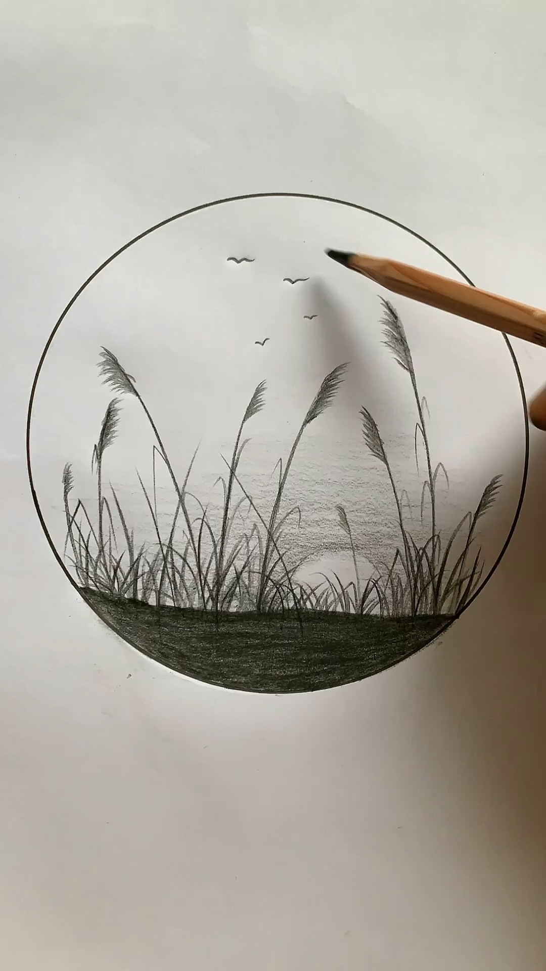 教你画日落风景,步骤简单易学.-度小视