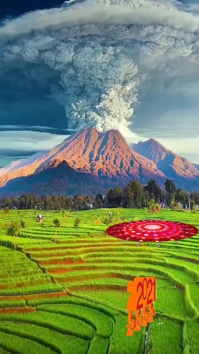 大自然奇特景观.望奎卫星.1月29.
