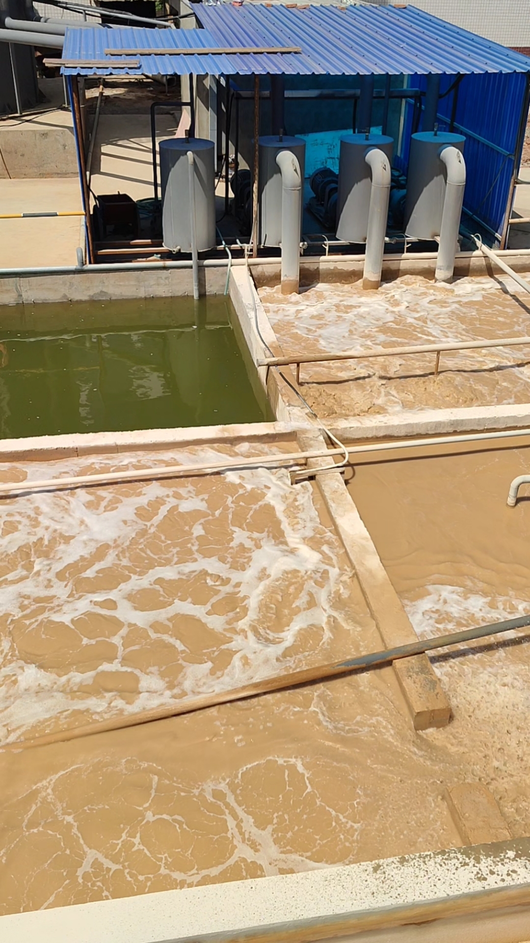 湖北某陶瓷厂污水脱硫处理效果.