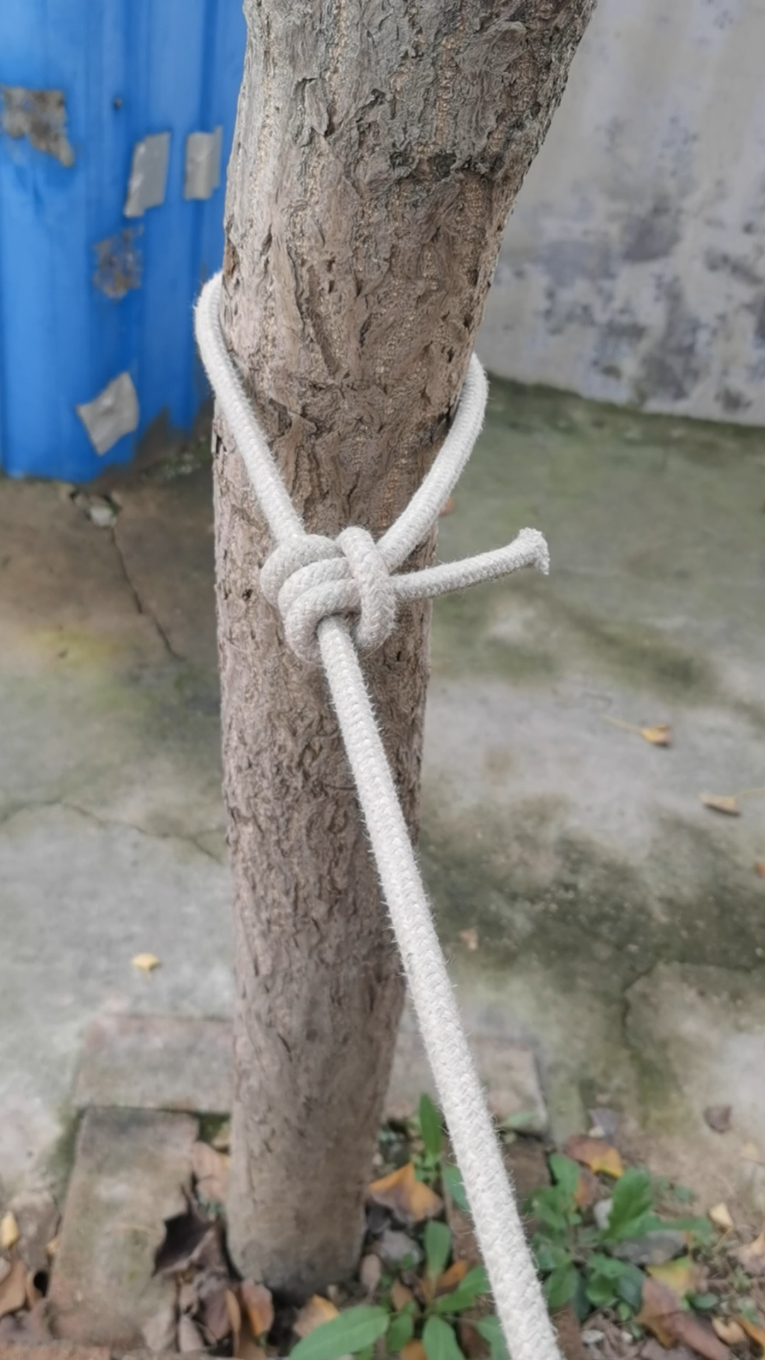 实用绳结营钉结户外拉帐篷晾衣服常用的绳结