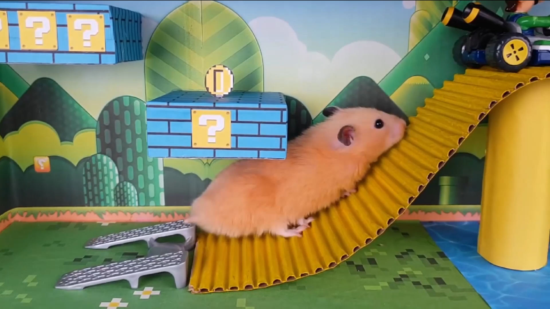 不可思议萌宠仓鼠挑战超级玛丽大闯关!