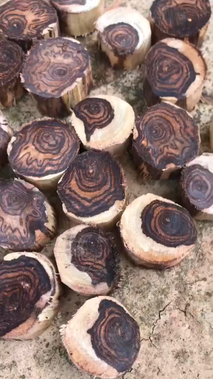 海南黄花梨满纹理紫油梨新干料