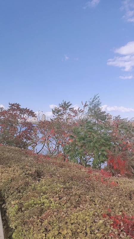 尋一抹陽光,捻一抹風景,在荏苒的歲月中,盈一份灑脫