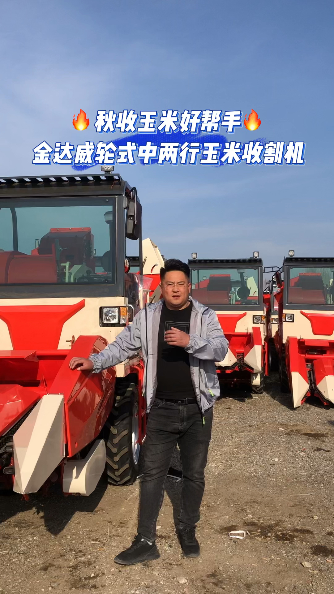 玉米收割机金达威轮式中两行玉米收割机农业机械化助力三农秋收玉米