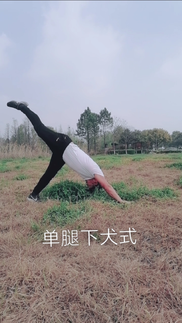 健身宁教练传递健身正能量#单腿下犬式