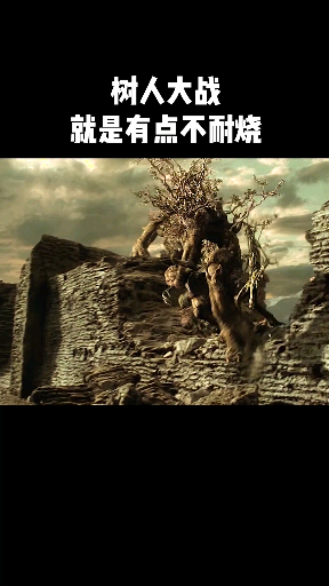 树人大战,就是有点不耐烧#电影#指环王2