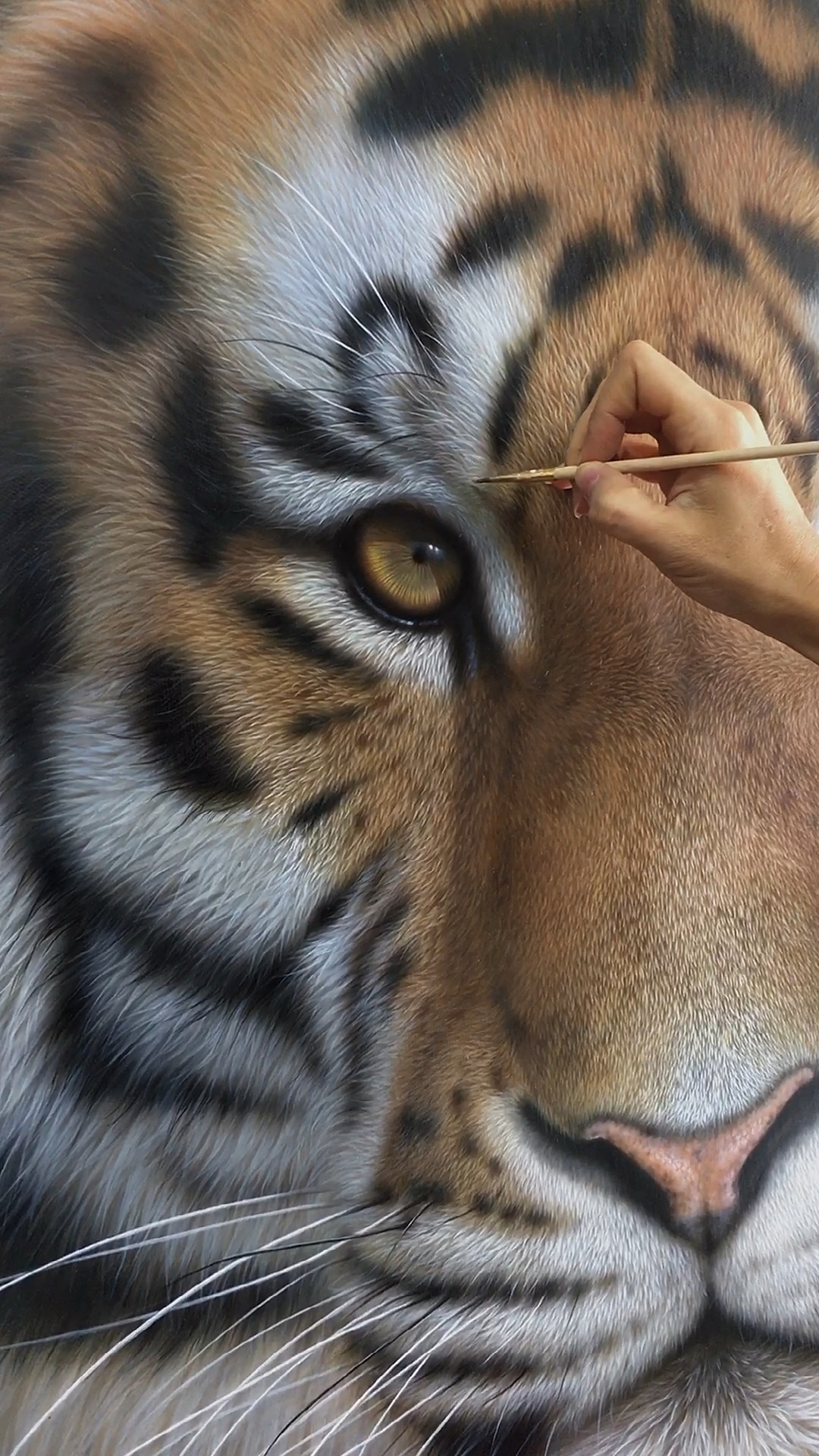 画画原来如此简单#超写实画老虎