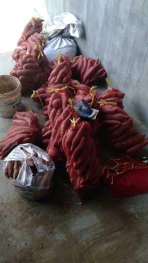 303_538竖版 竖屏