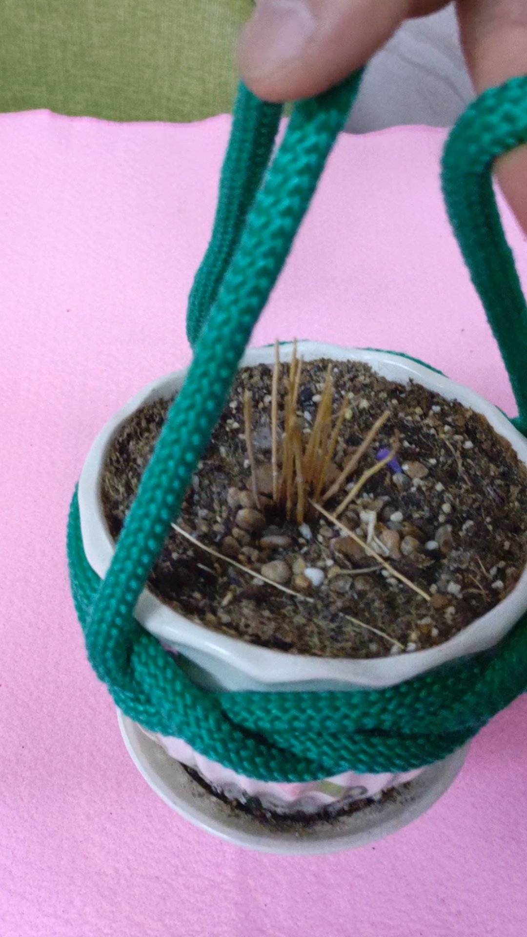 实用绳结#花盆结