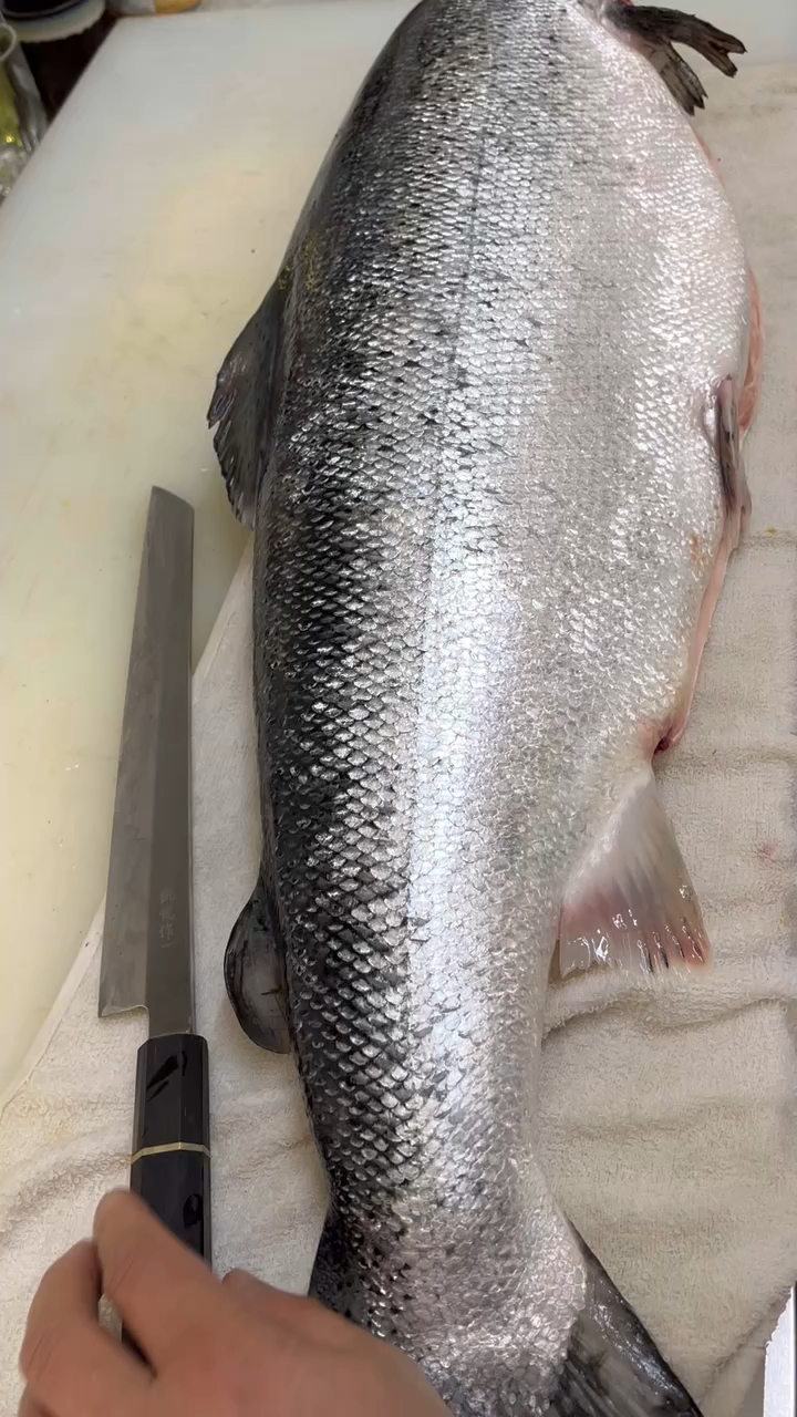 三文鱼三文鱼去个鱼鳞大家看看这个手法怎么样