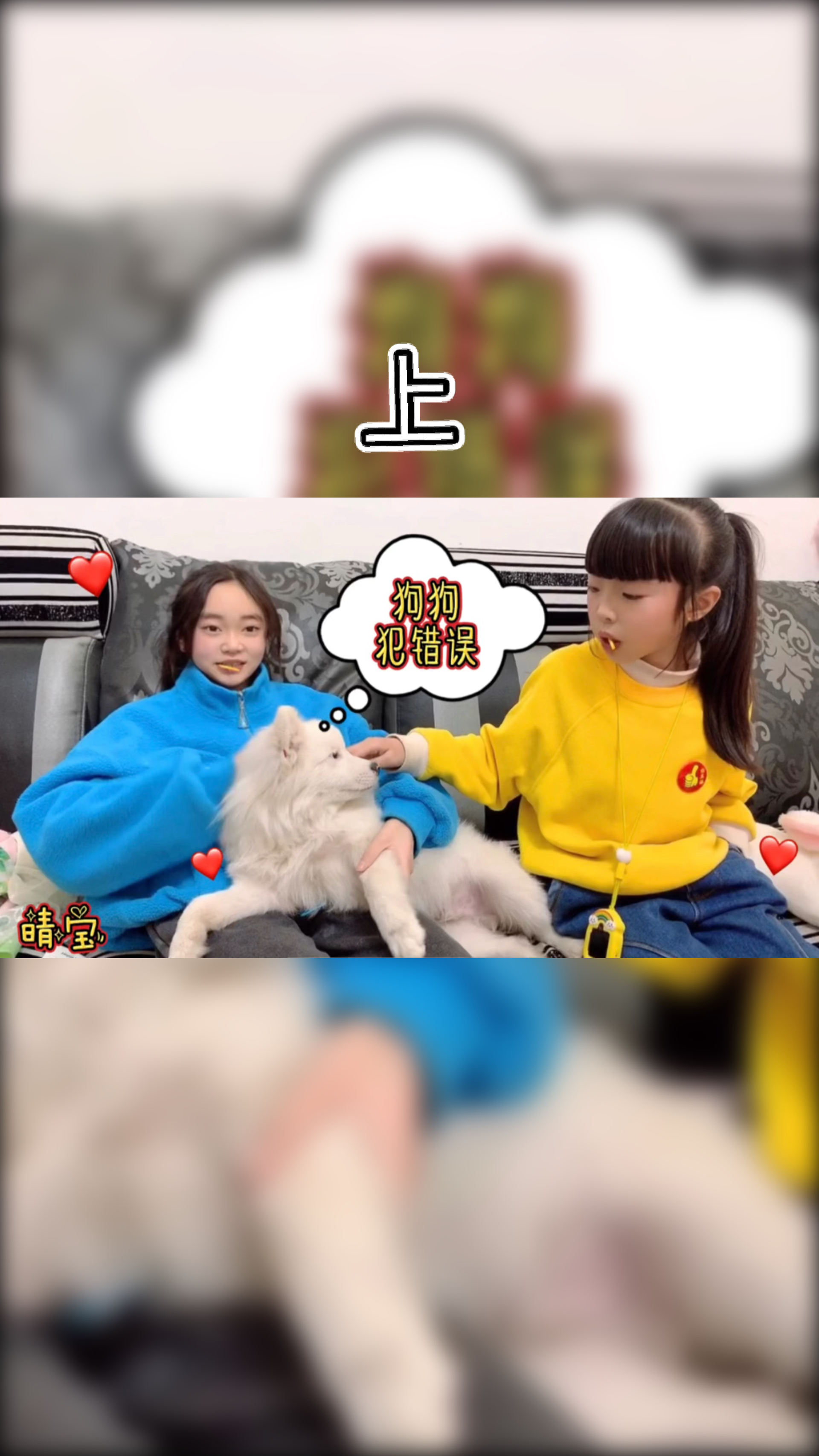 晴宝家狗狗犯错误,直接在沙发上刨坑尿到上面,还和小兔子做朋友(上)