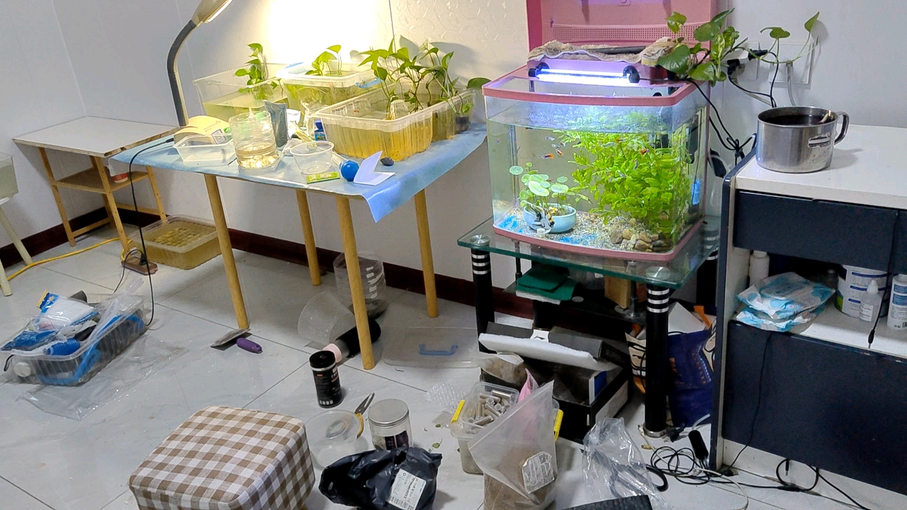 哪个养鱼的家里不是瓶瓶罐罐,乱七八糟的?