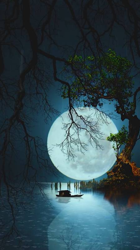 大自然美景#白月光,心里某个地方,那么亮,却那么冰凉,每个人都有一段