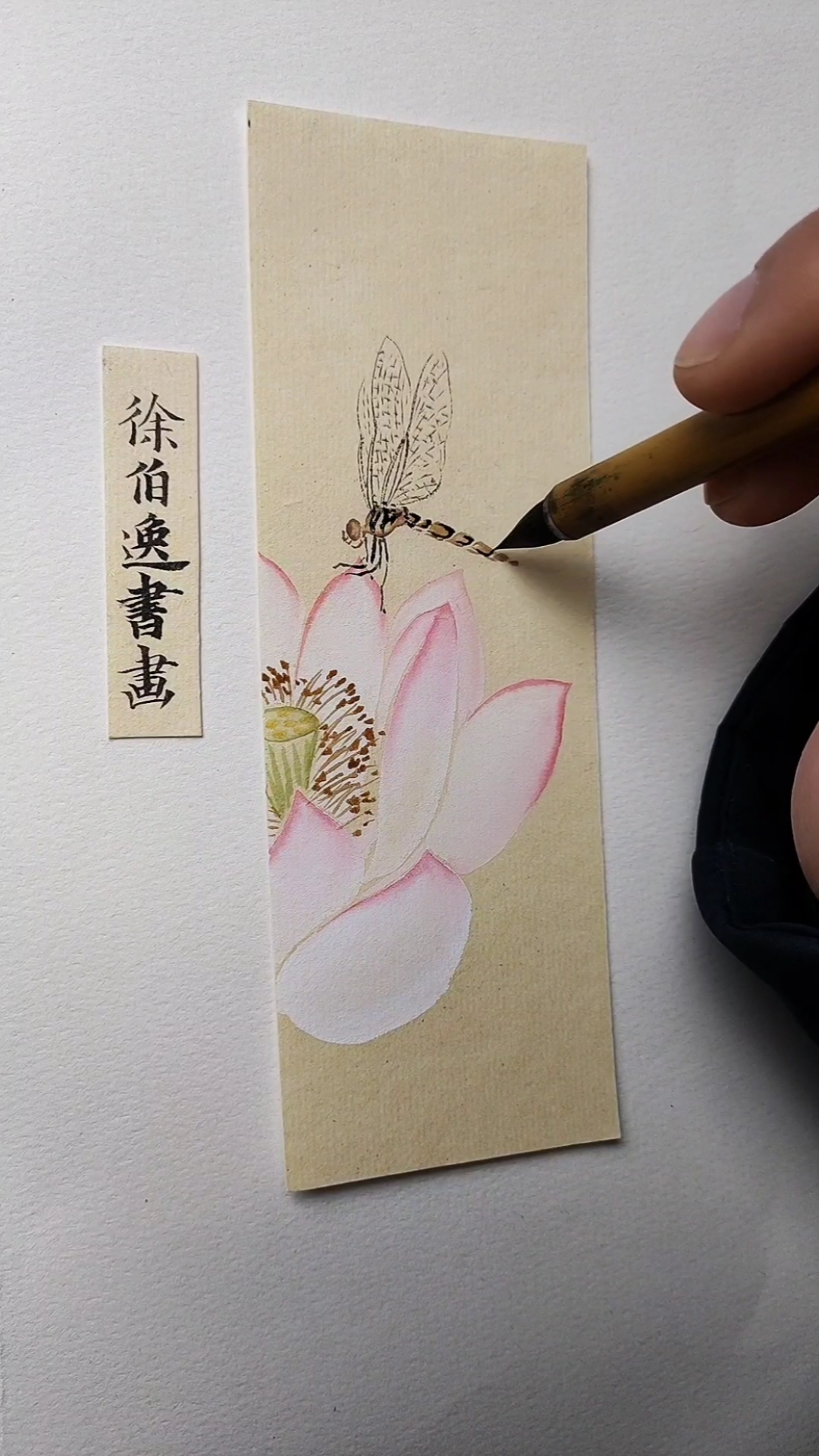 徐伯逸书画画一张荷花蜻蜓书签