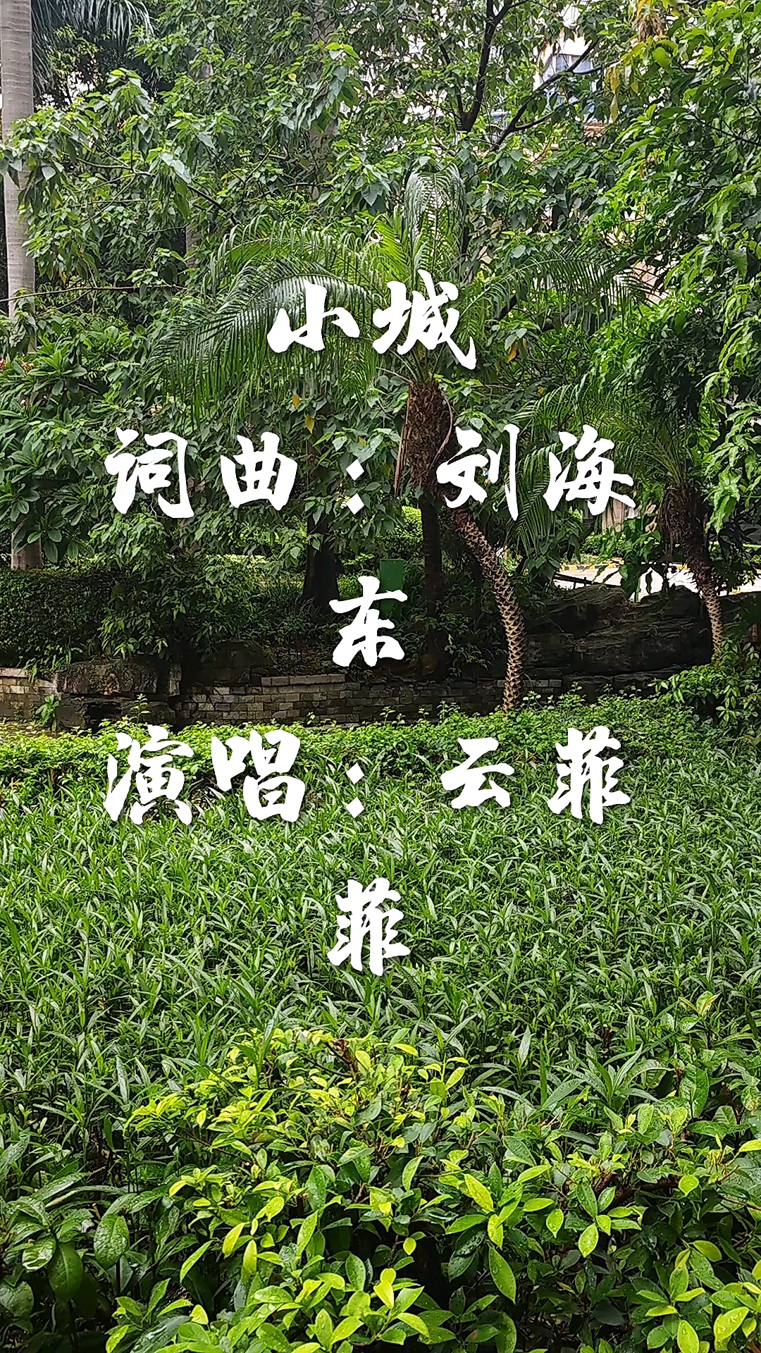 太好听了云菲菲为您演唱小城可曾勾起你美好的回忆