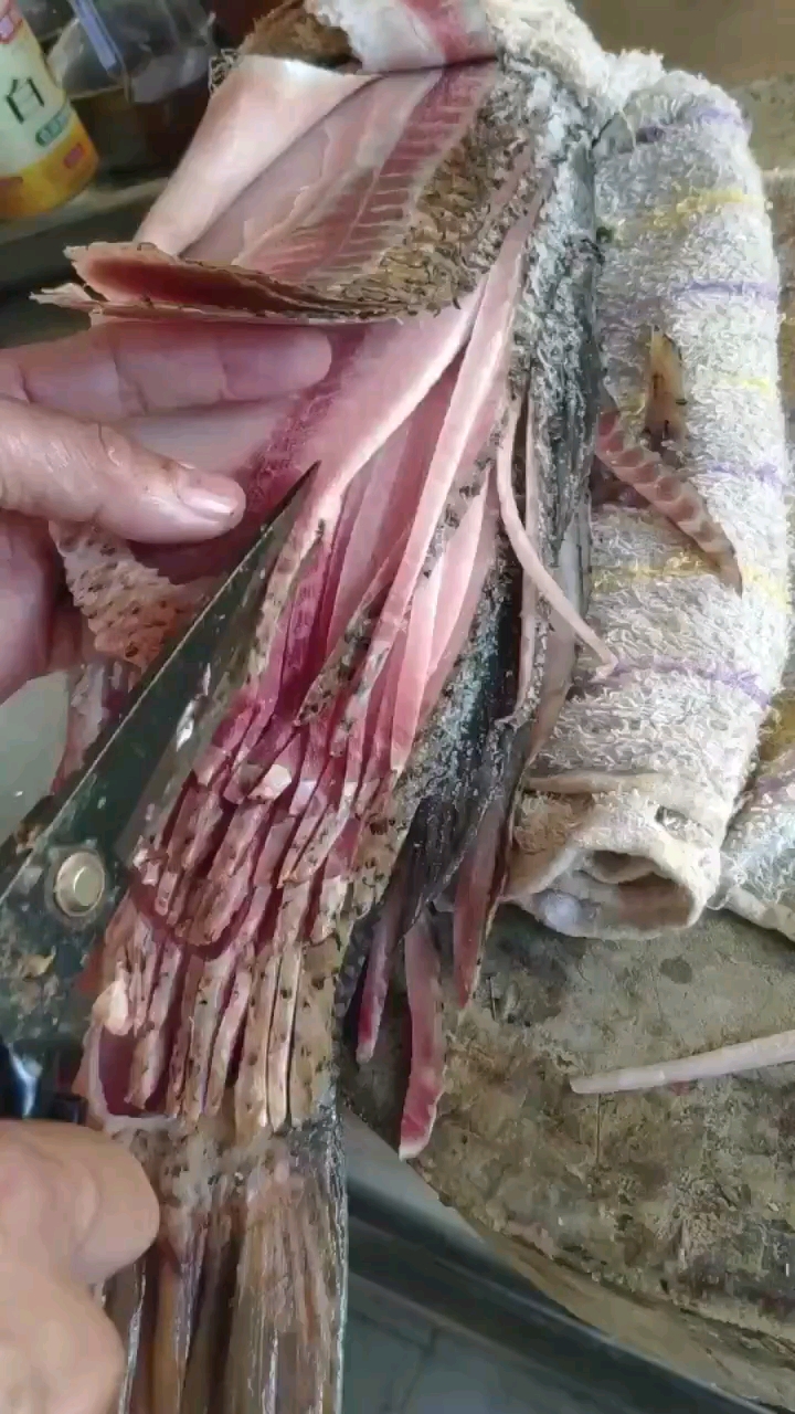 老婆太厉害了,做一条狮子鱼给她吃,看看老虎和狮子谁厉害