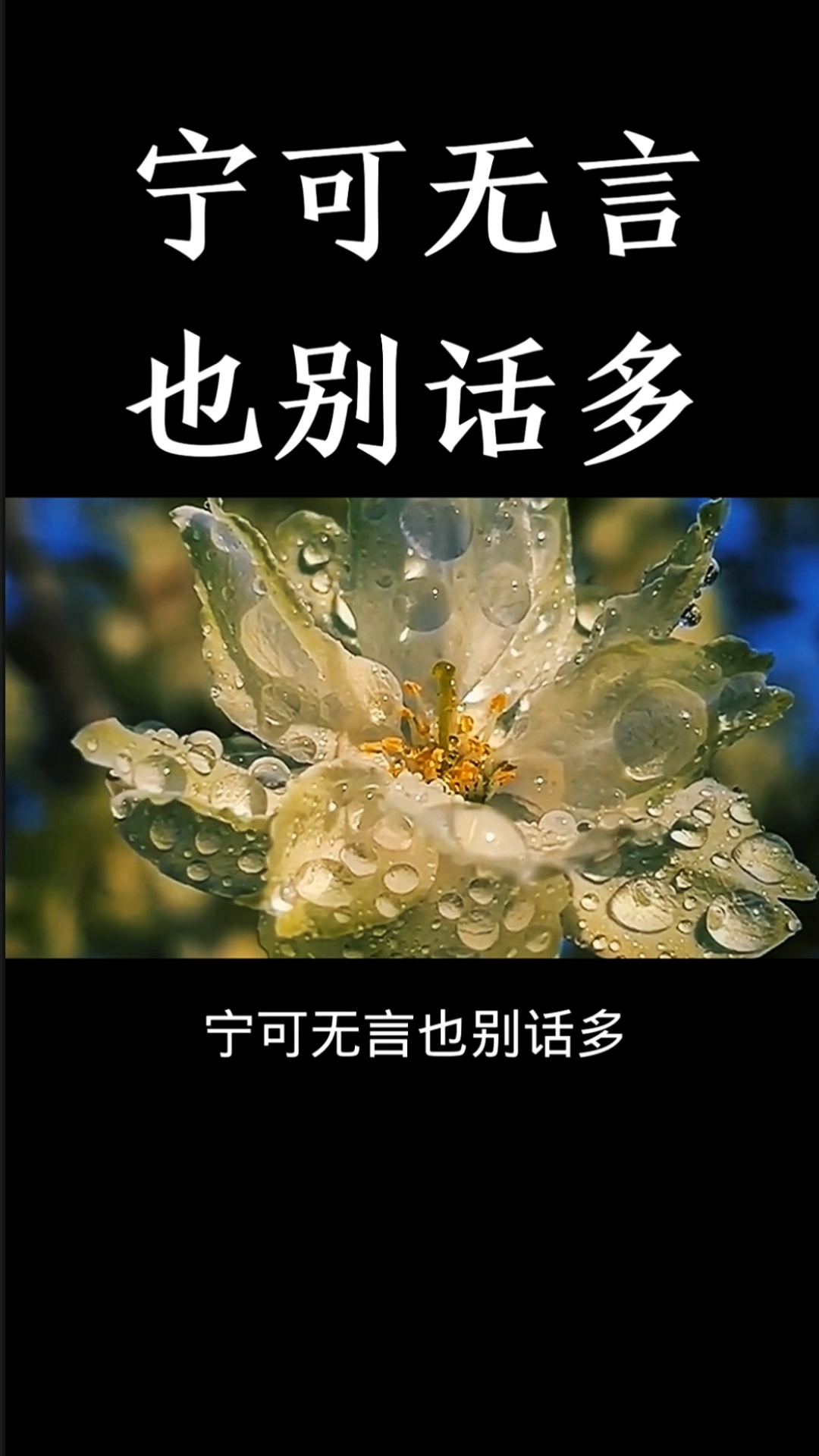 情感故事#宁可无言也别话多