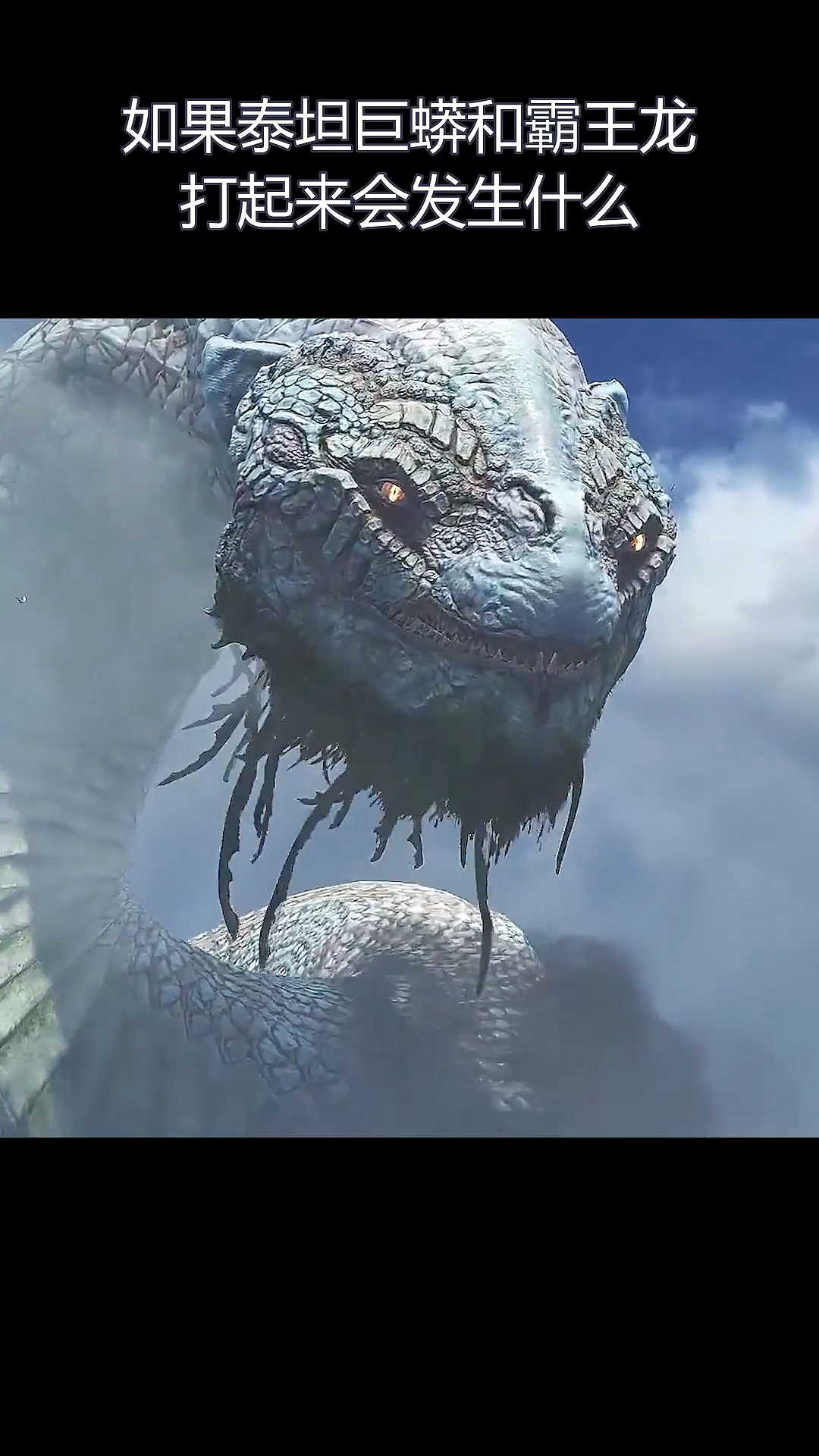 全民涨知识如果泰坦巨蟒和霸王龙打起来了会发生什么