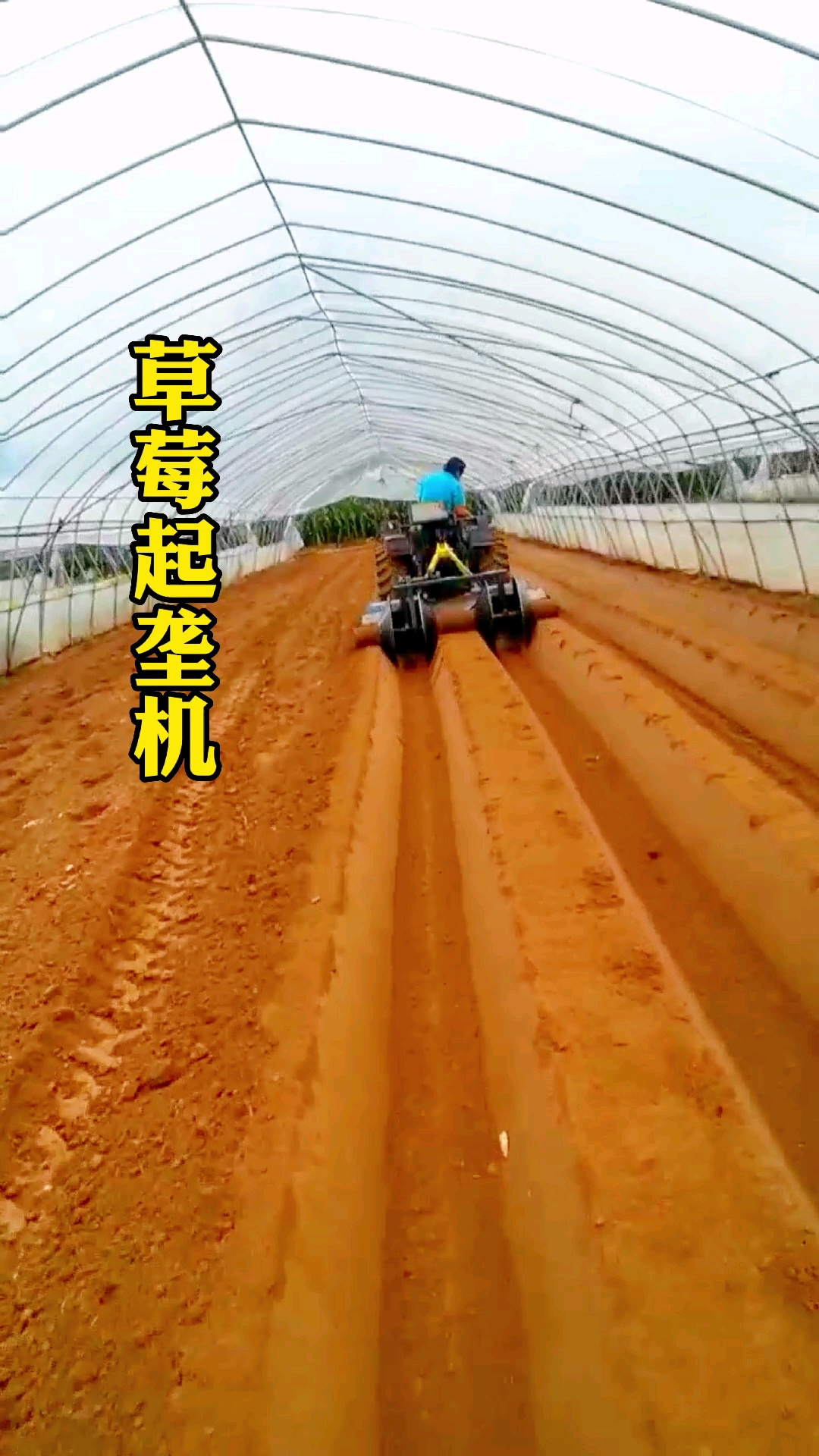 草莓起垄机#草莓开沟起垄机,8米的大棚可以起7条整垄,开沟起垄效果好