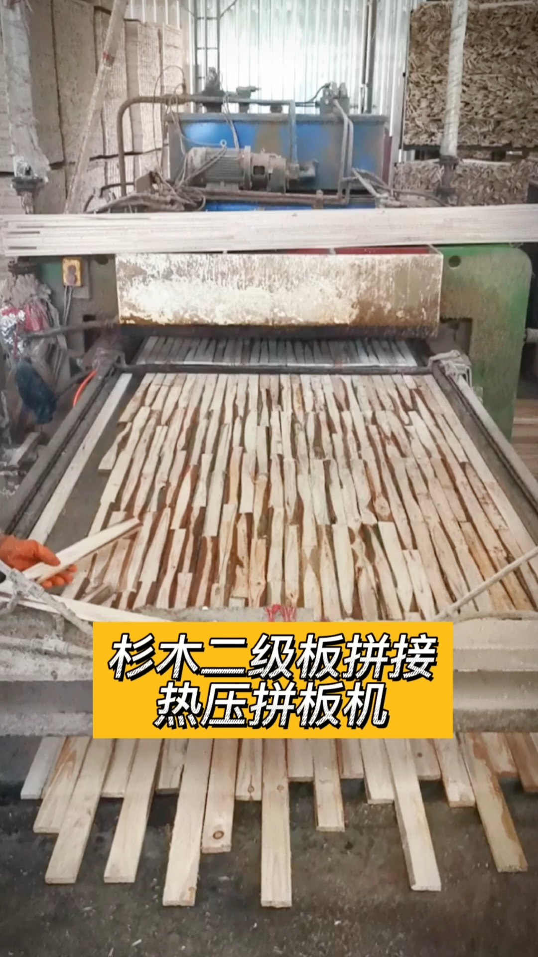 木工机械#热压拼板机,加工杉木二级细木工板芯
