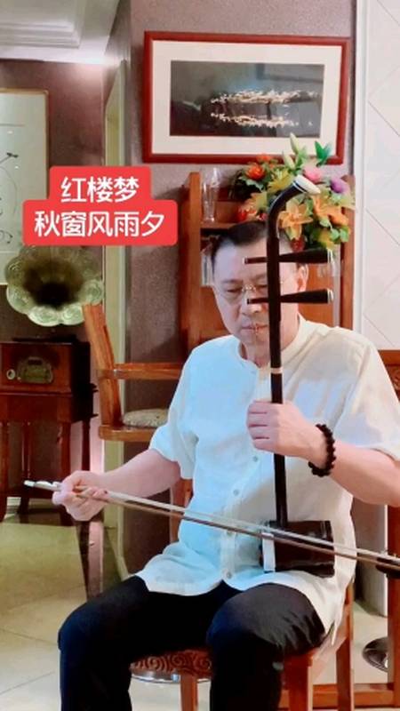 二胡演奏:红楼梦之《秋窗风雨夕》.-全民小视频