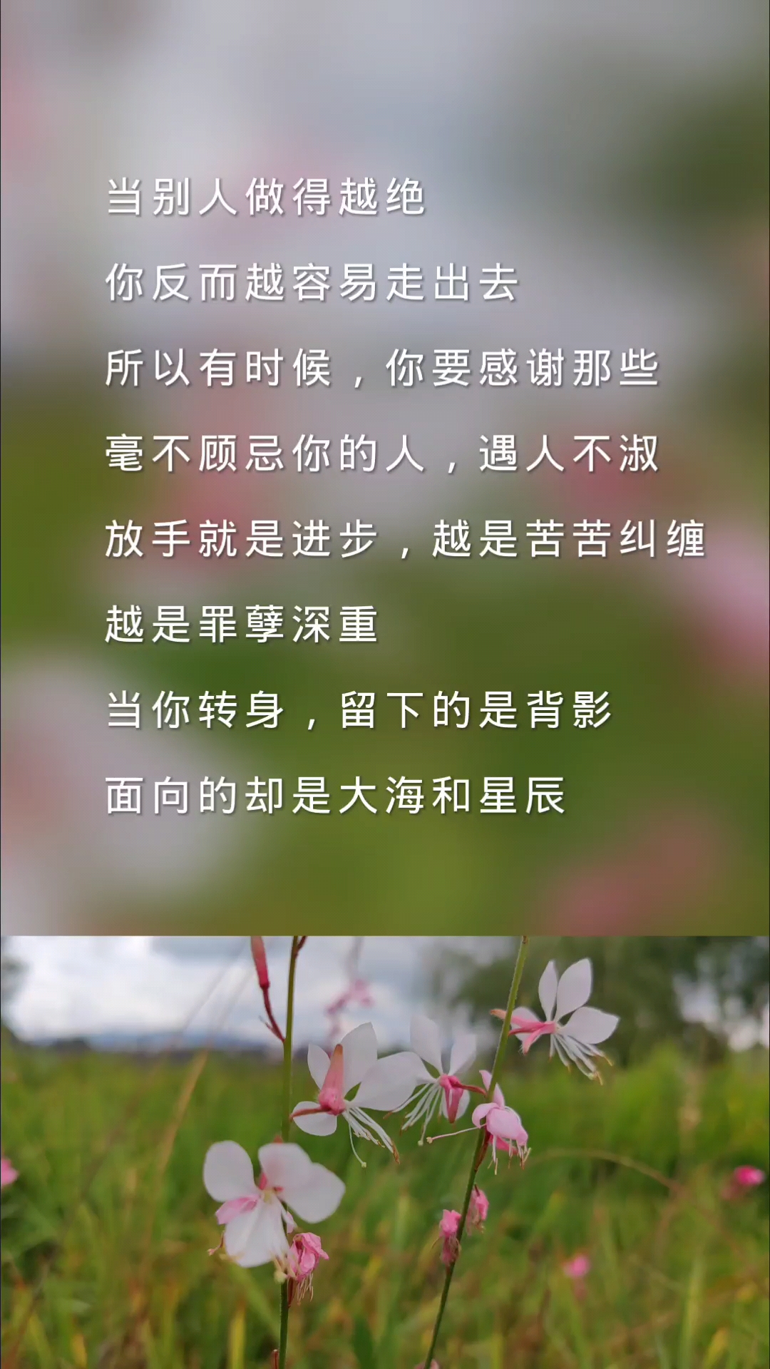 扎心情感语录#转身留下的是背影,面向的却是大海和星辰