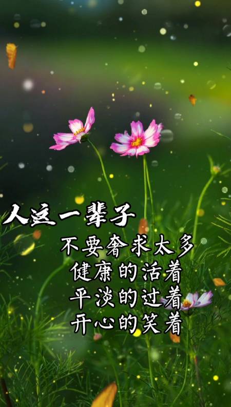 人这一辈子不要奢求太多,健康的活着,平淡的过着,开心的笑着,合理的忙