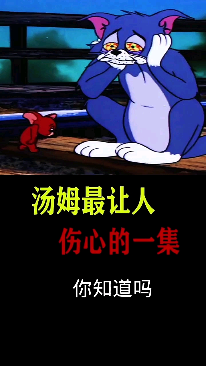 汤姆猫汤姆猫最伤心的一集