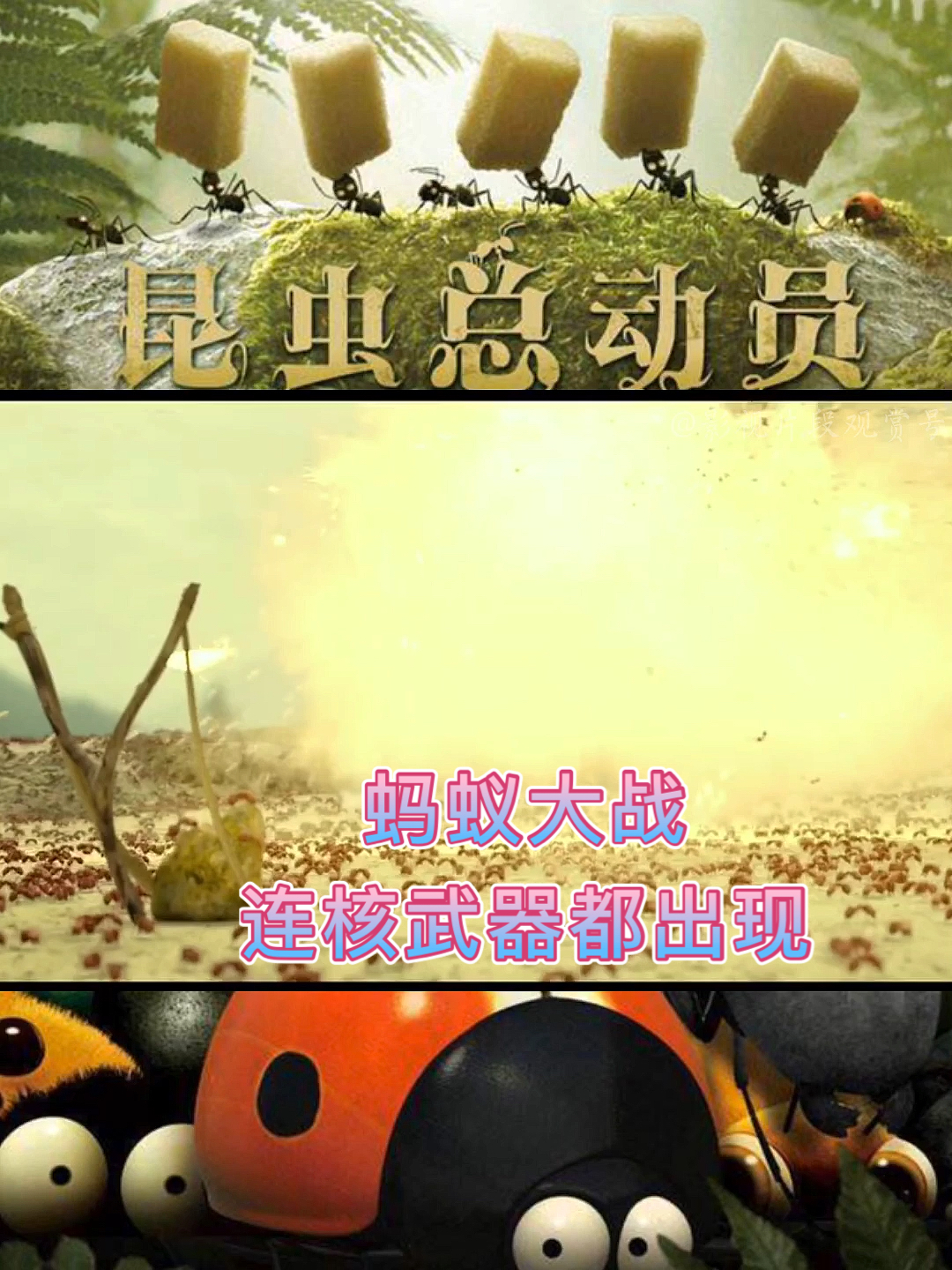 好看电影#蚂蚁大战,最后连"核武器"都出现