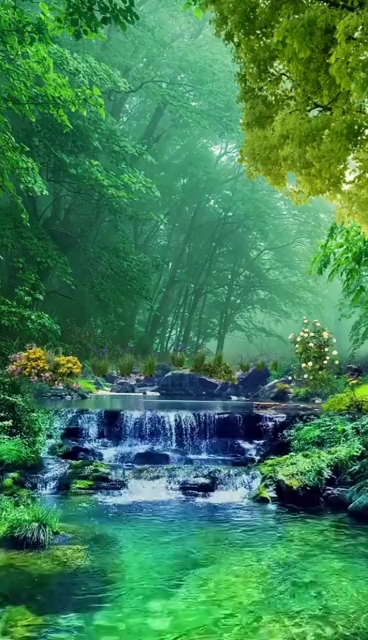 你好,夏天#听水的声音,来自大自然的声音最能治愈心灵!