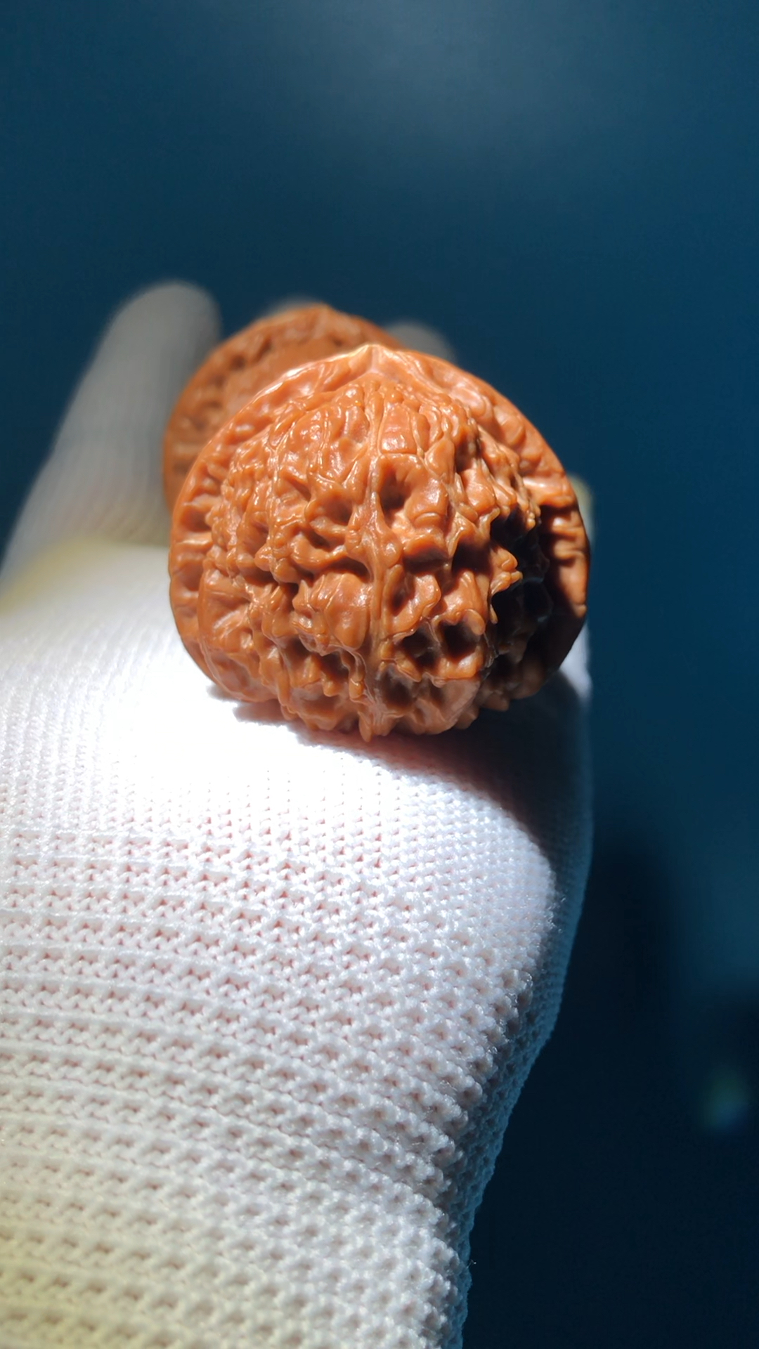 超美的三角白狮子头