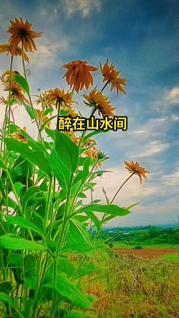 美景加音乐#《醉在山水间》