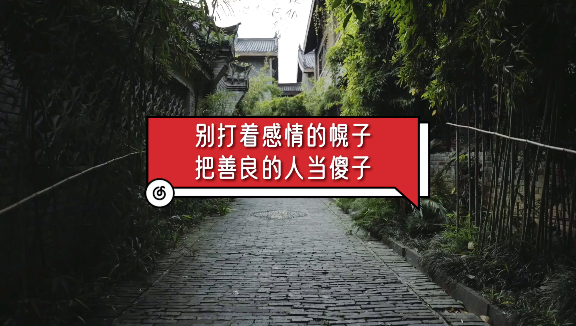 扎心情感语录别打着感情的幌子把善良的人当成傻子