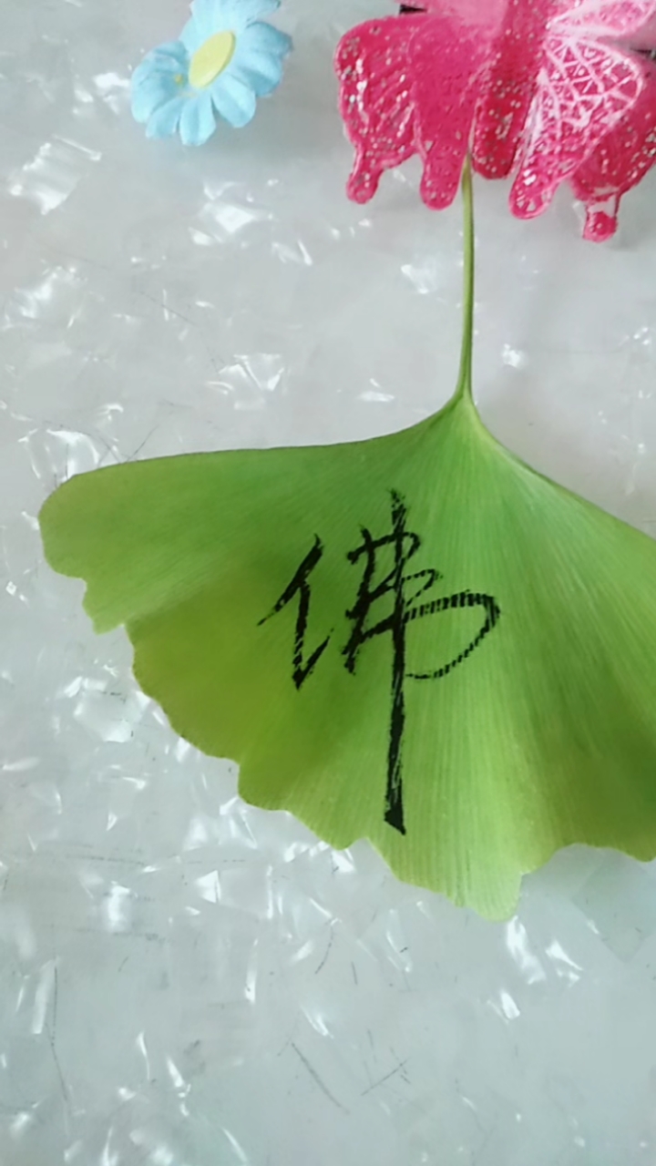 自在书法#佛渡有缘人!