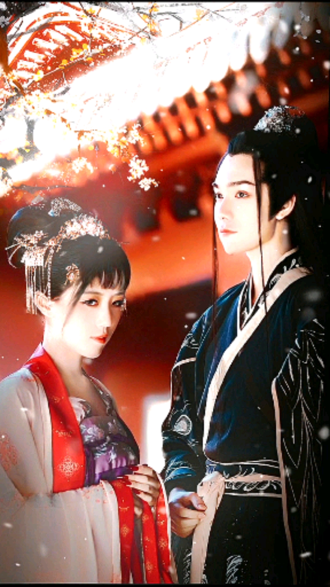 来娶你了沈娇娇