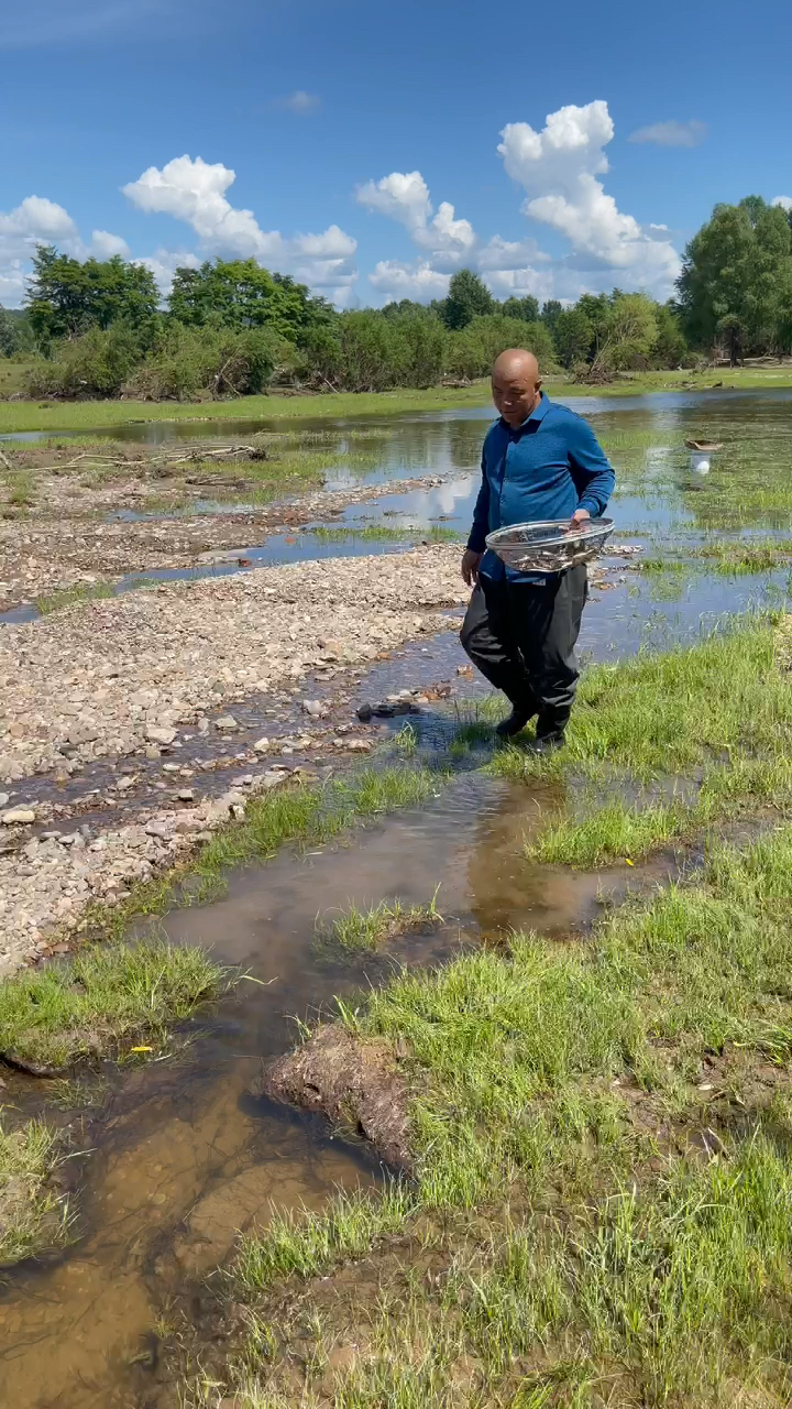 小河里抓小鱼儿.