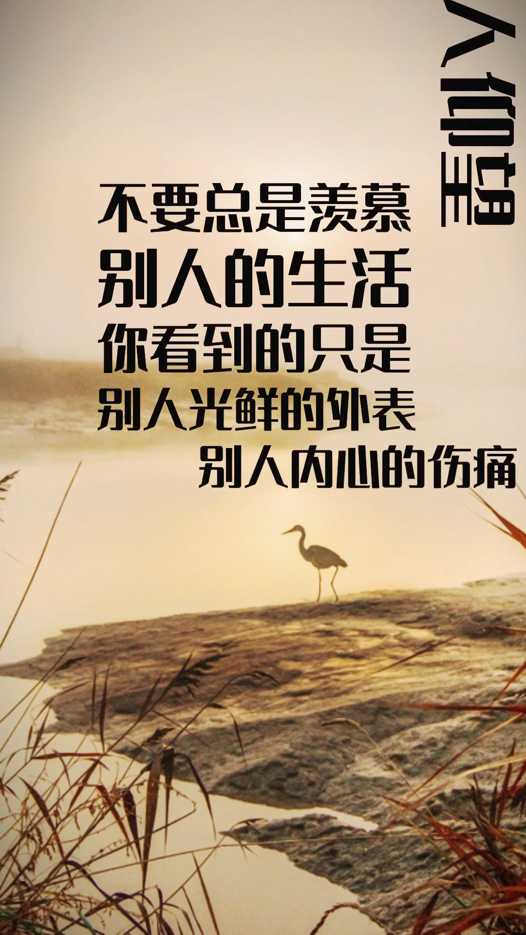 人生感悟#你不努力,没人能给你想要的生活